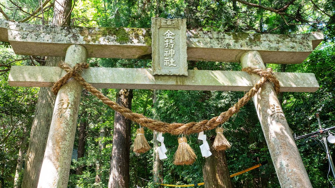 第六分科会